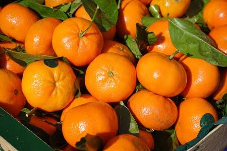 Se eleva el costo de la mandarina…El motivo…La sequía.