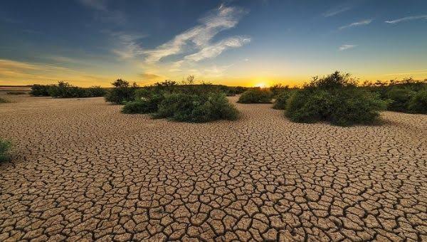 El 82% del territorio Tamaulipeco registra sequía grave y severa.