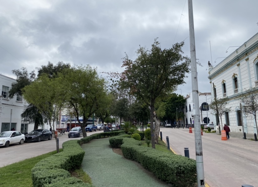 Ciudad Victoria llegó a los 10 grados centígrados en el actual frente frío.