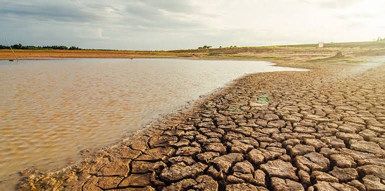 Sufre Tamaulipas una sequía severa prolongada.