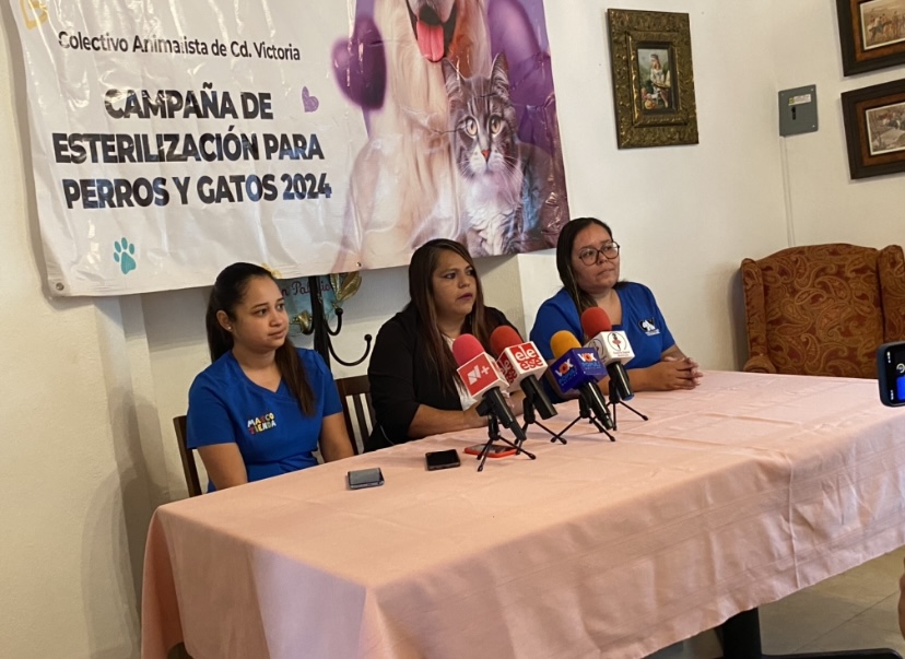 Se llevará a cabo campaña de esterilización de perros y gatos.