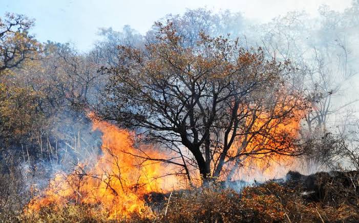 Se incrementan los incendios de zacatales en Ciudad Victoria…Se registran entre 8 y 10 por semana.