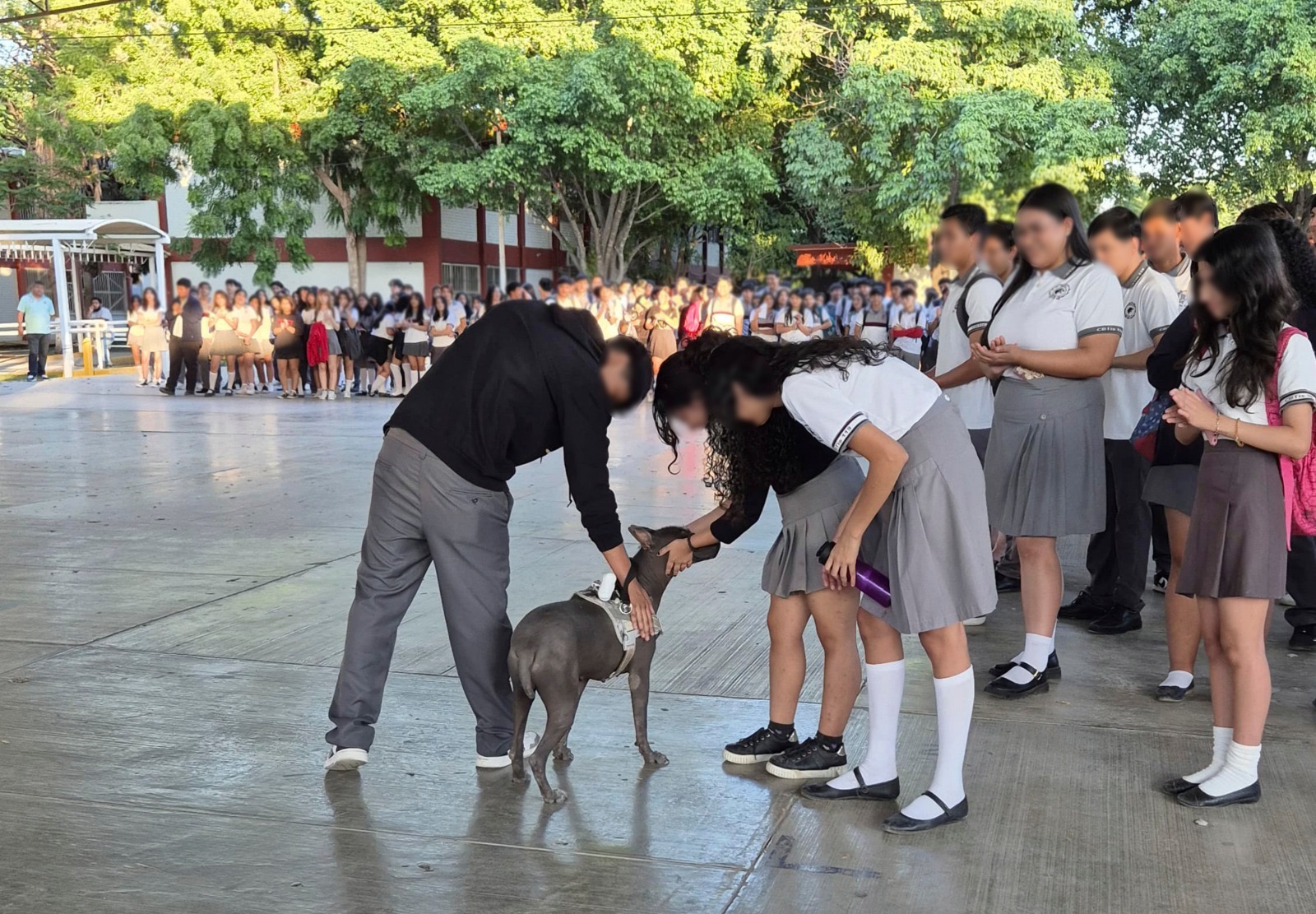 Refuerza Tamaulipas conciencia ambiental y protección animal en escuelas