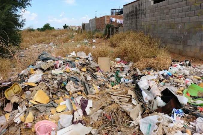 Hay más de 200 denuncias ambientales en Tamaulipas.