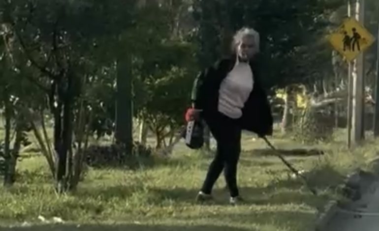 En Ciudad Victoria una señora dañó arboles del bulevar Fidel Velázquez.
