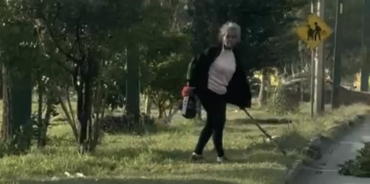 En Ciudad Victoria una señora dañó arboles del bulevar Fidel Velázquez.