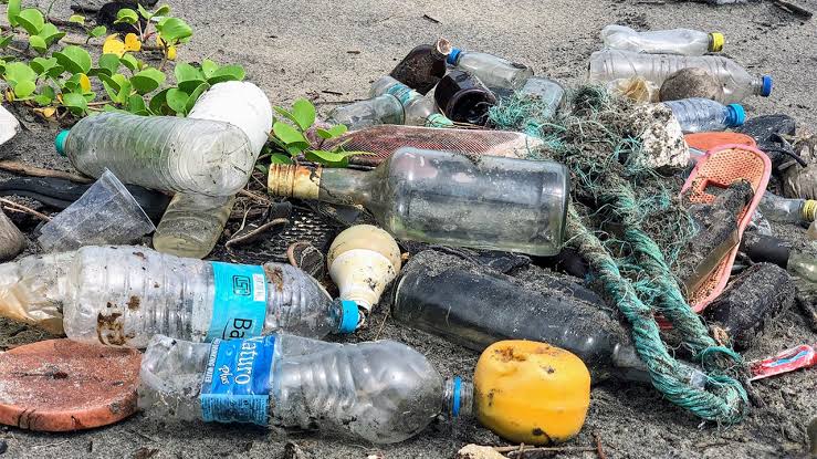 Publican en la página del ayuntamiento de Victoria las rutas diarias de recolección de basura.