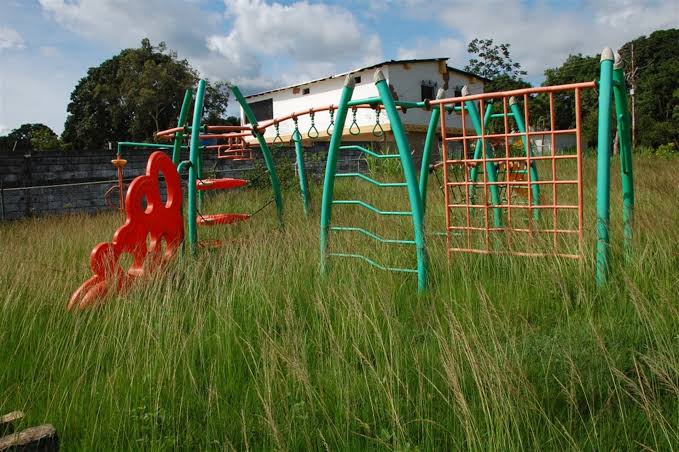 Se llevan a cabo trabajos de limpieza en áreas verdes enmontadas de Ciudad Victoria.